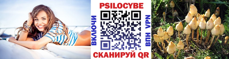 Купить где  Лиски  Галлюциногенные грибы мицелий 